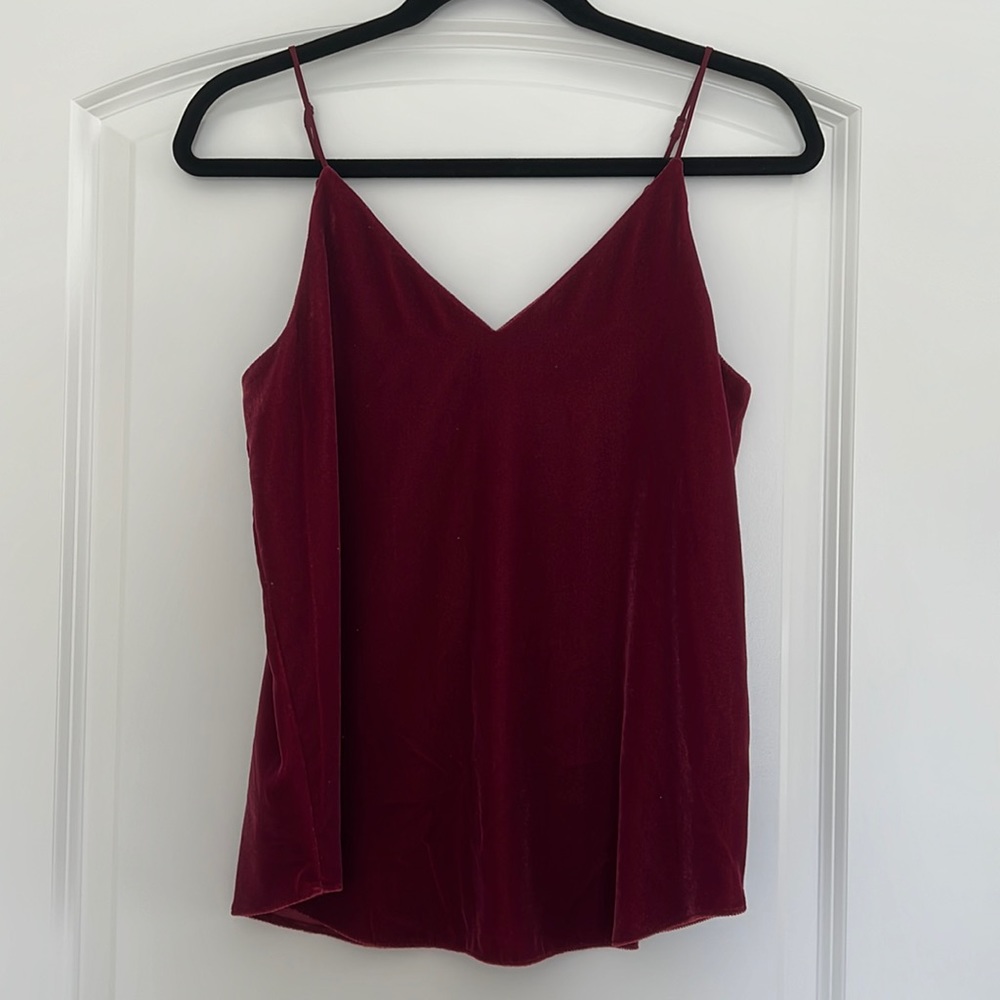 Express V-Neck Downtown Velvet Cami